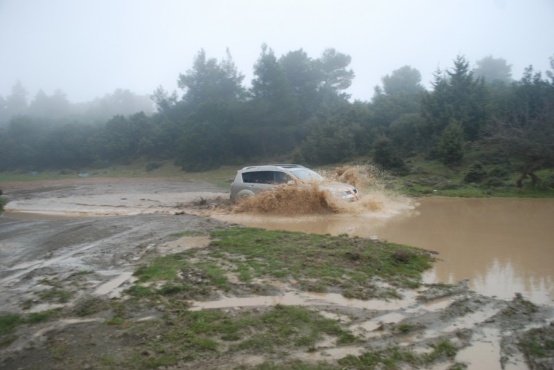 DSC_5307.JPG