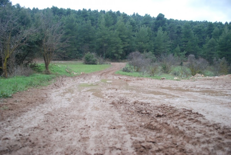 DSC_5330.JPG