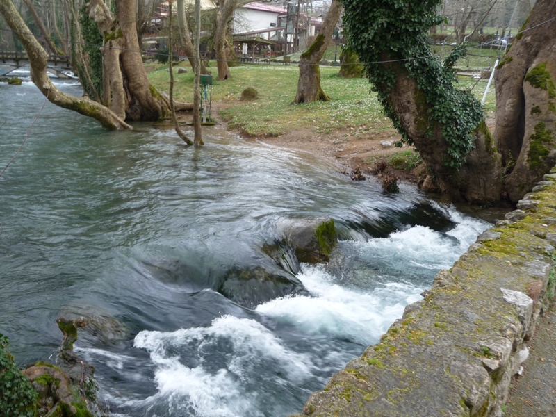 P1160924.JPG