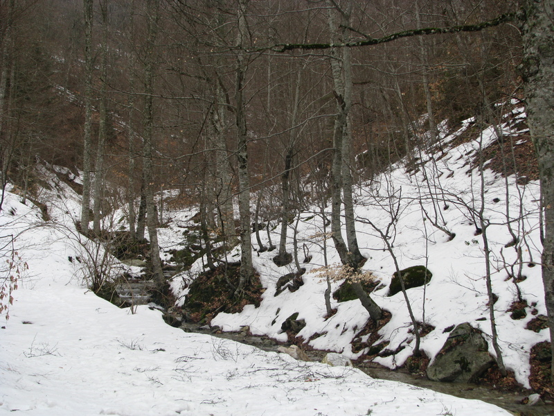 img0099qv.jpg