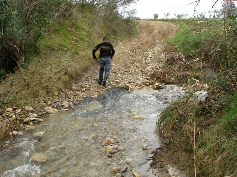 P2140055.JPG