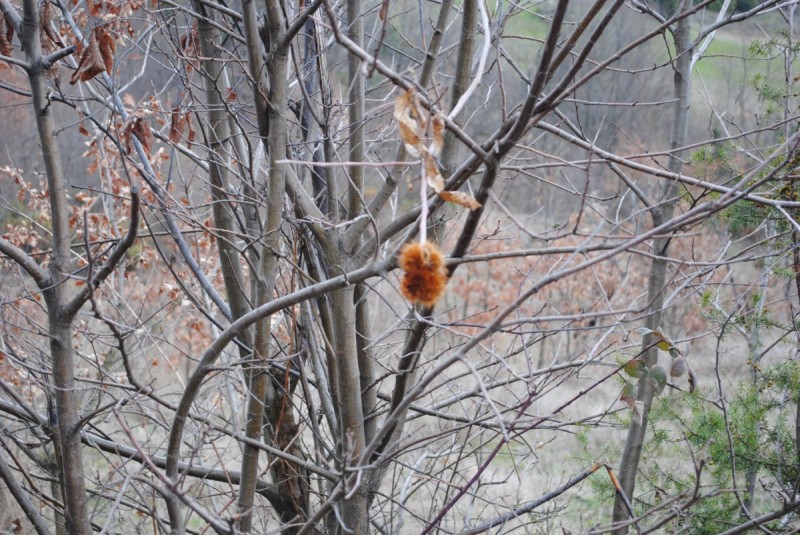 DSC_6701.jpg