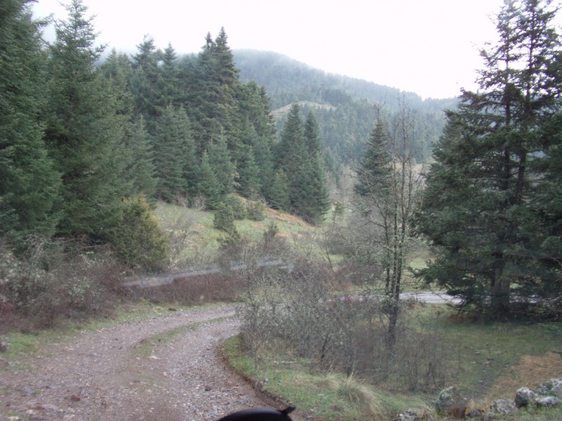 DSC00757.jpg