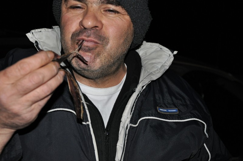 DSC_0206.JPG