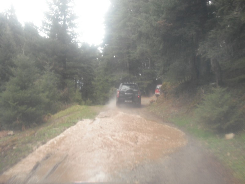 DSCF0053.jpg