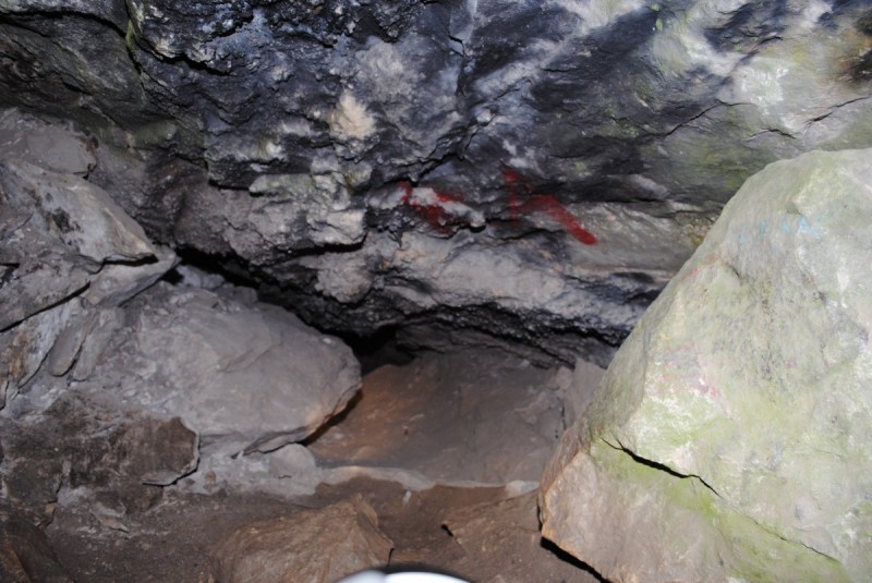 DSC_7230.jpg