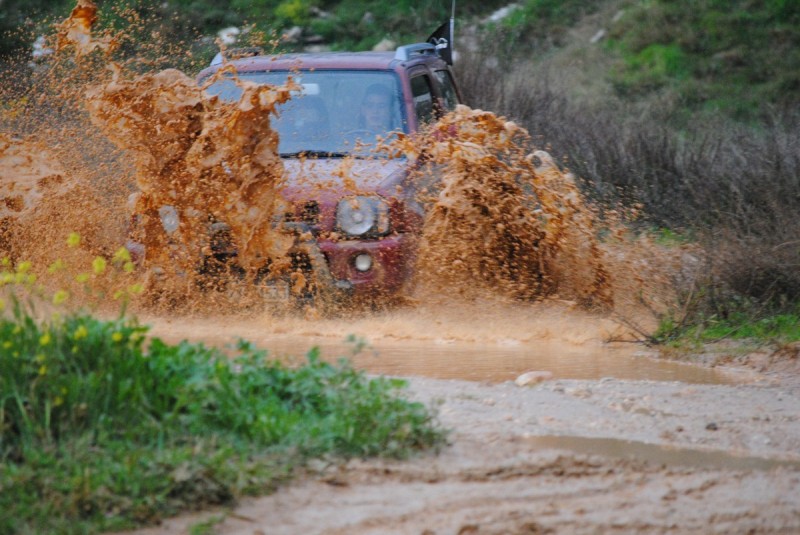 DSC_7298.jpg