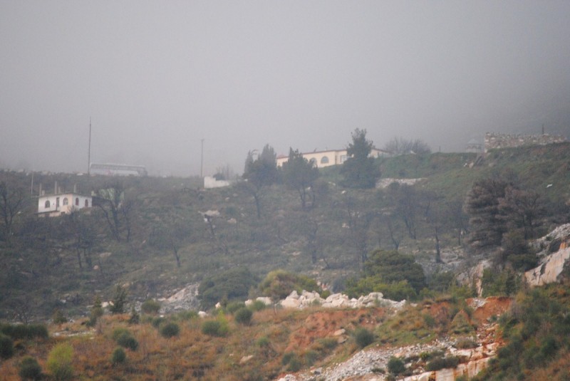 DSC_7328.jpg