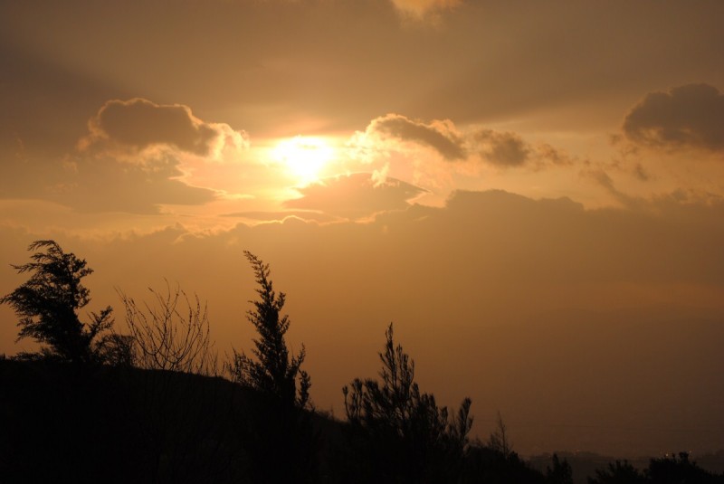 DSC_7334.jpg