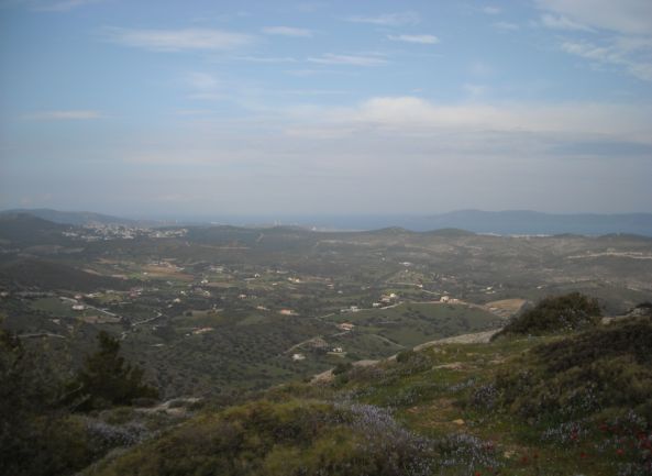 146.JPG