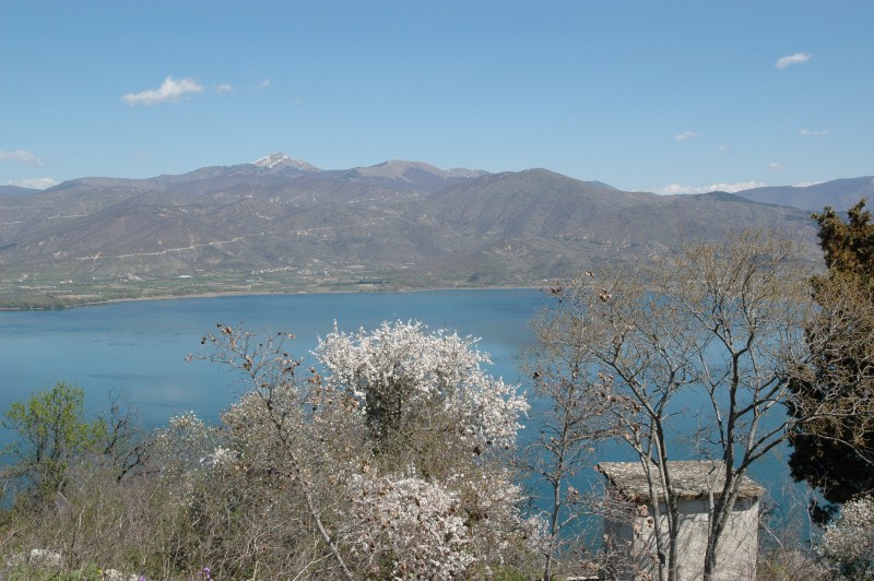 DSC_0017.jpg