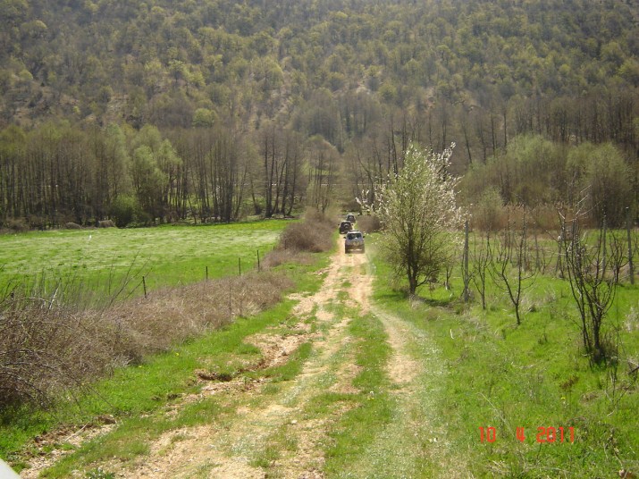 DSC03334 (715 x 536).jpg