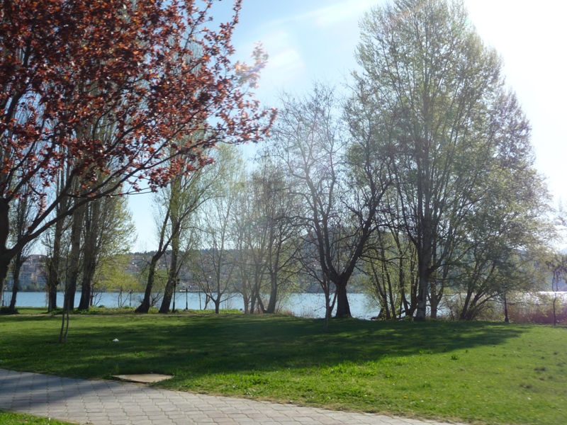 P1170224.JPG