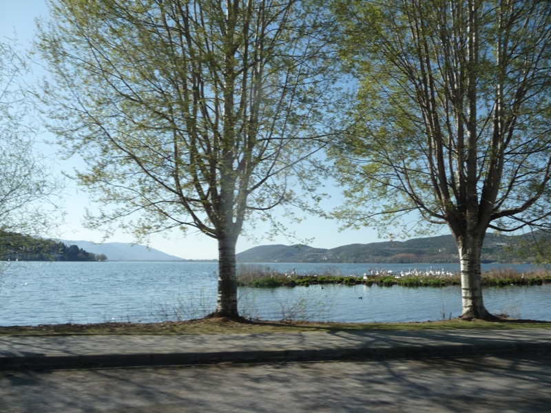 P1170230.JPG
