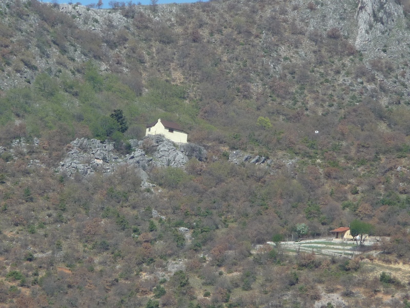 P1170236.JPG