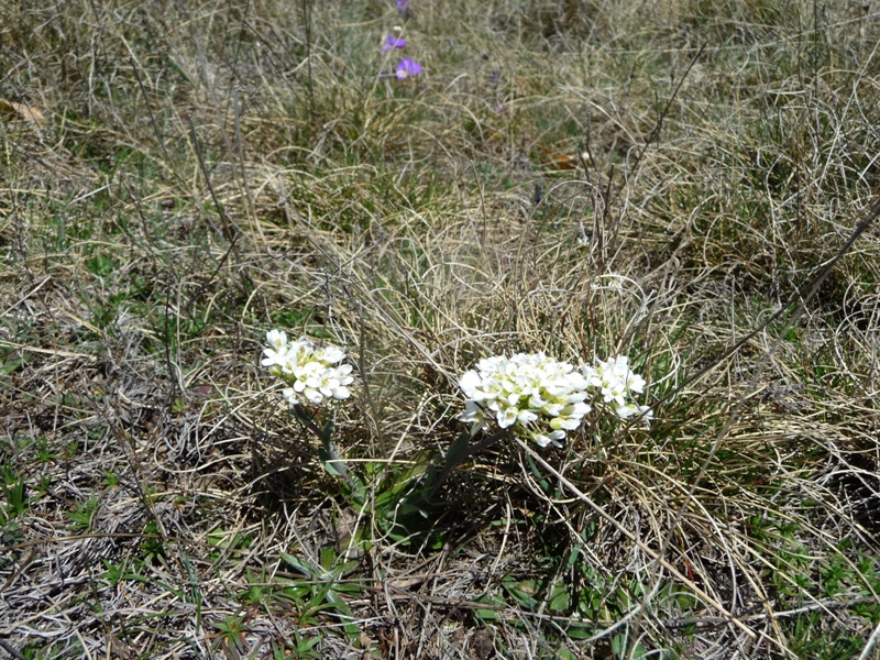 P1170323.JPG