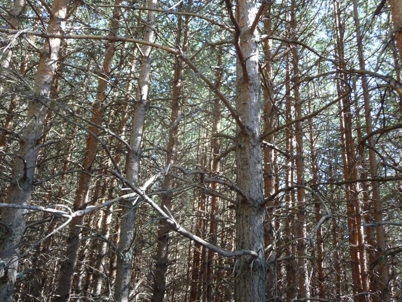 P1170424.JPG