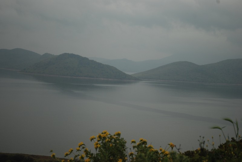 DSC_5530.JPG