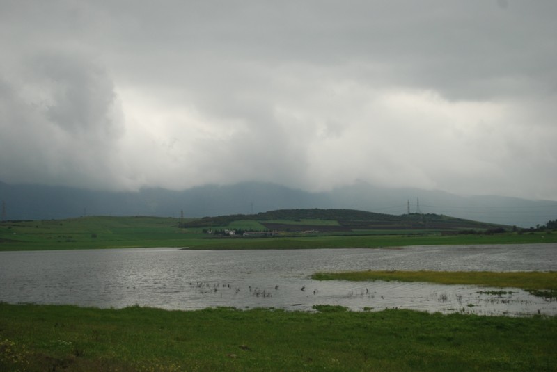 DSC_5543.JPG