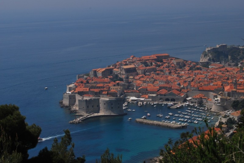 DSC_0275.jpg