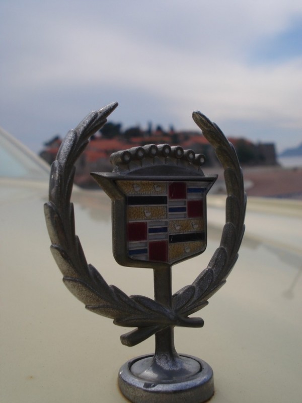 DSC01324.jpg
