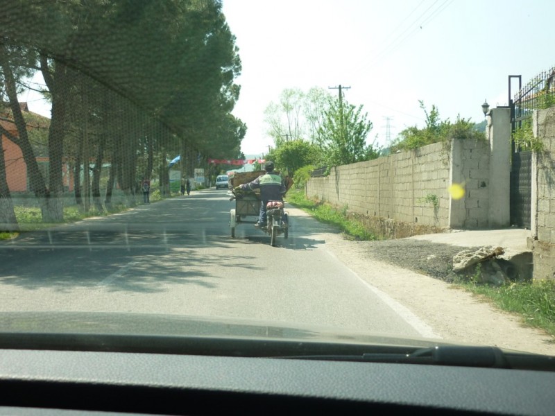 P1010800.jpg