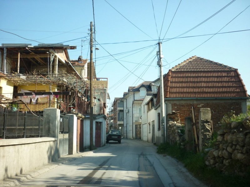 P1010789.jpg