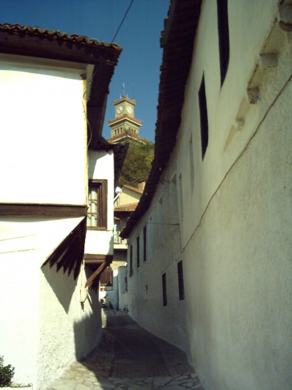 IMAG0019.JPG