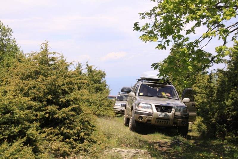 2011_05_08_4372.JPG