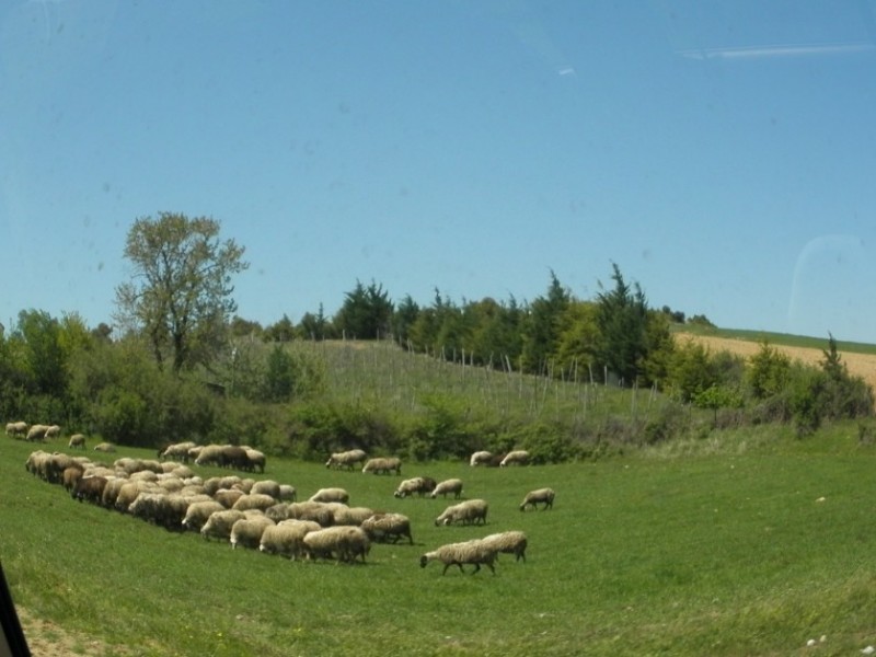 P5080869.jpg