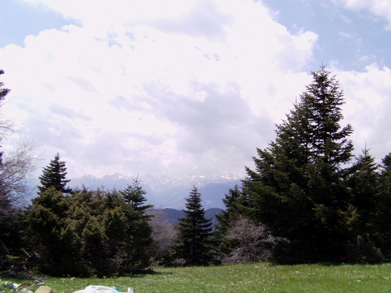 IMAG0075.JPG