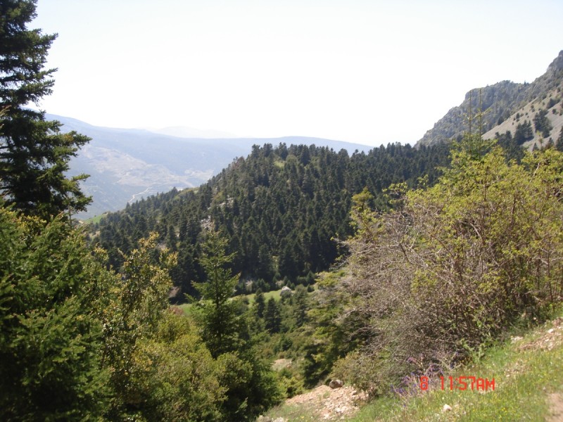 DSC08049.JPG