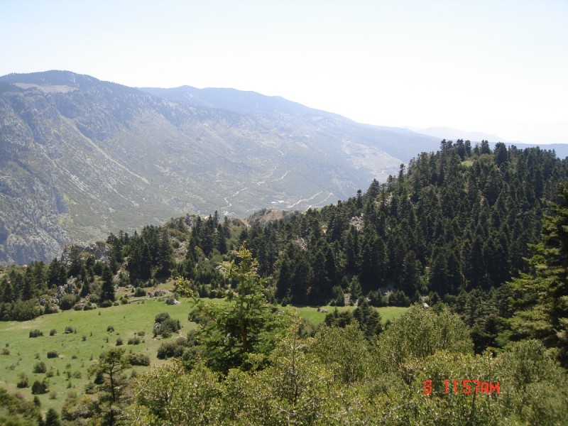 DSC08052.JPG