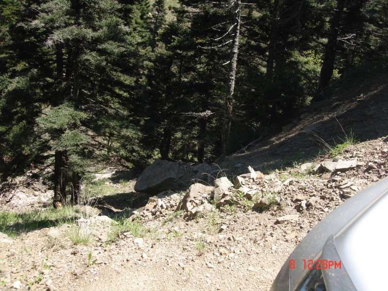 DSC08062.JPG