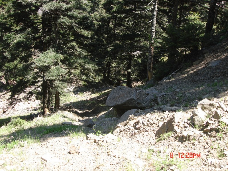 DSC08063.JPG