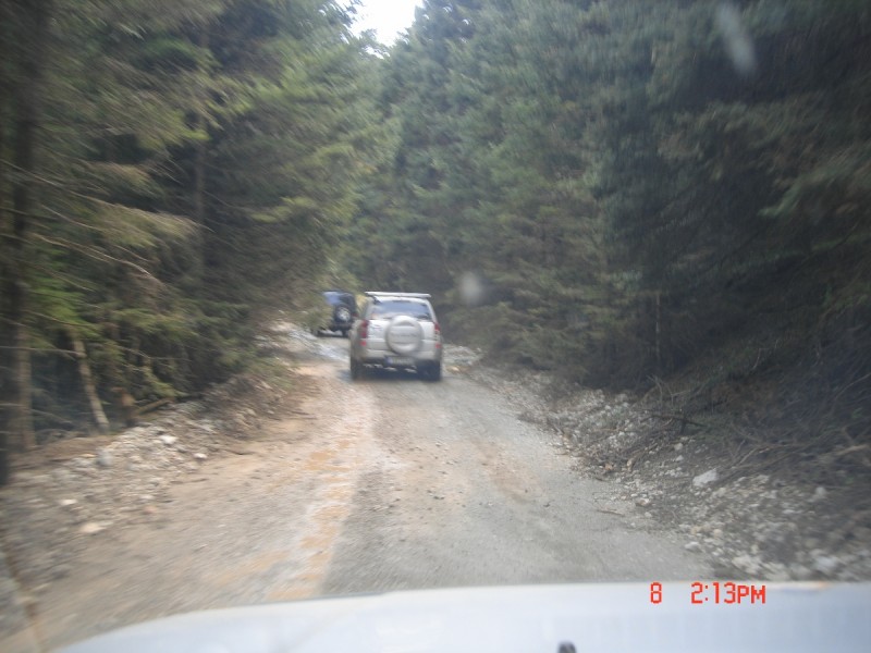 DSC08077.JPG