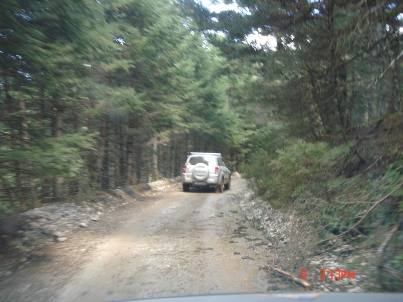 DSC08078.JPG