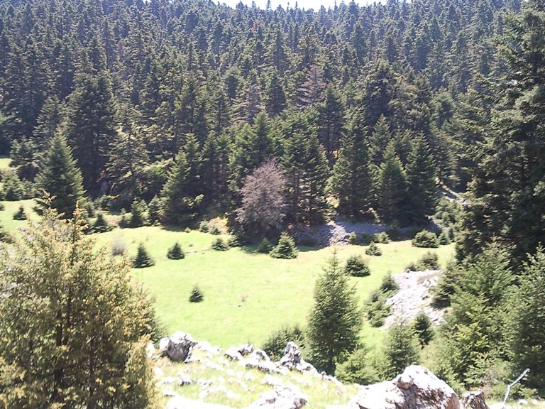 Picture 018.jpg