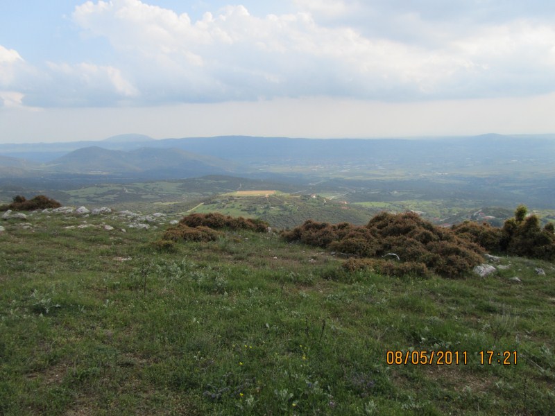 IMG_0355.jpg