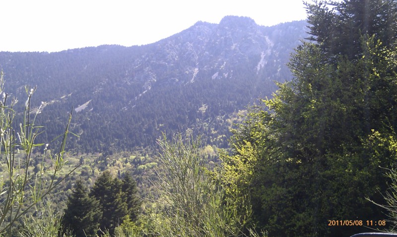 IMAG0213 (800 x 479).jpg