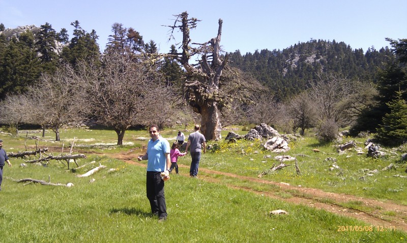 IMAG0214 (800 x 479).jpg