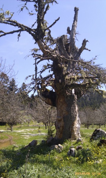 IMAG0215 (359 x 600).jpg