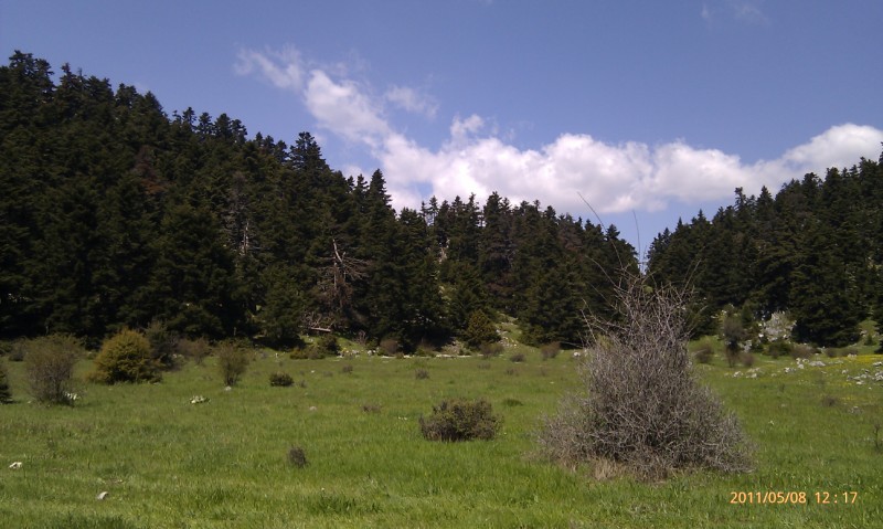 IMAG0218 (800 x 479).jpg