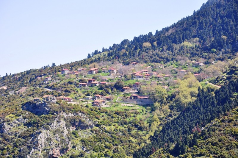 DSC_0909.JPG