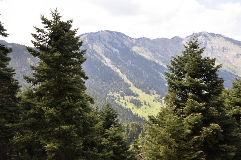 DSC_0993.JPG