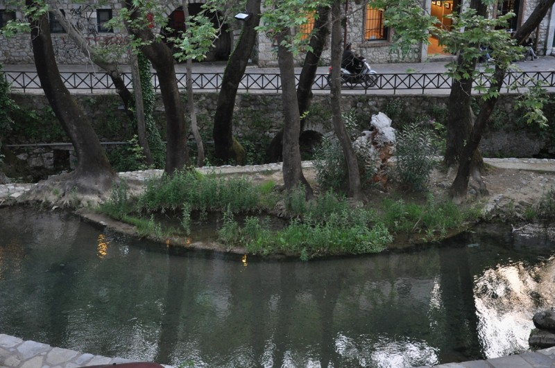 DSC_1040.JPG