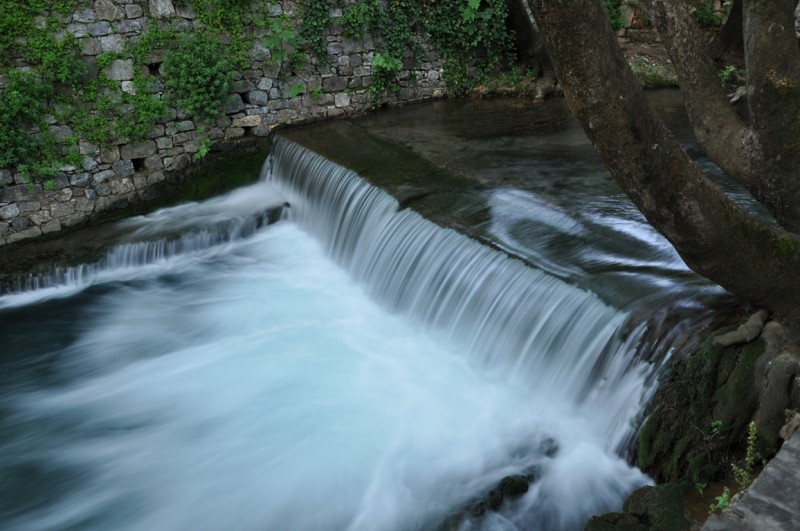 DSC_1064.JPG