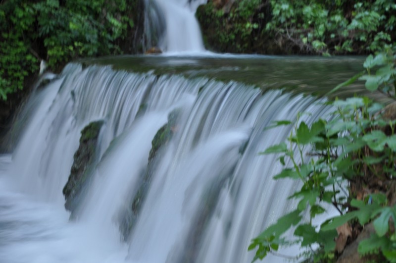 DSC_1091.JPG