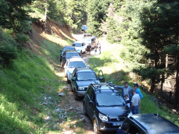 P1(600 x 450).jpg