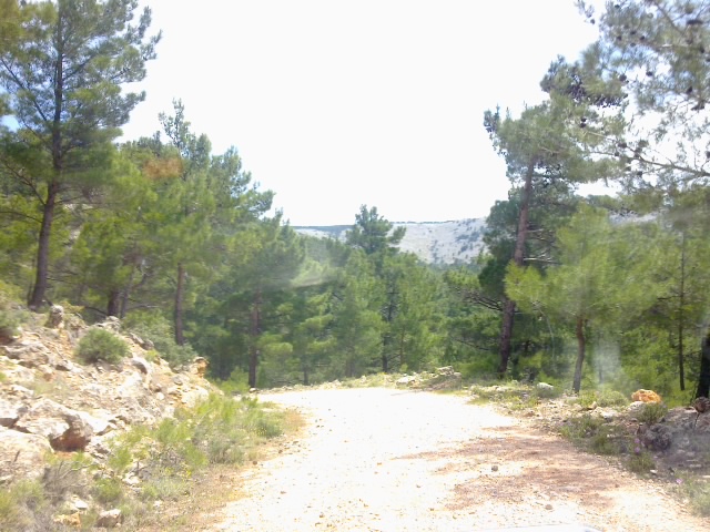 22052011080.jpg